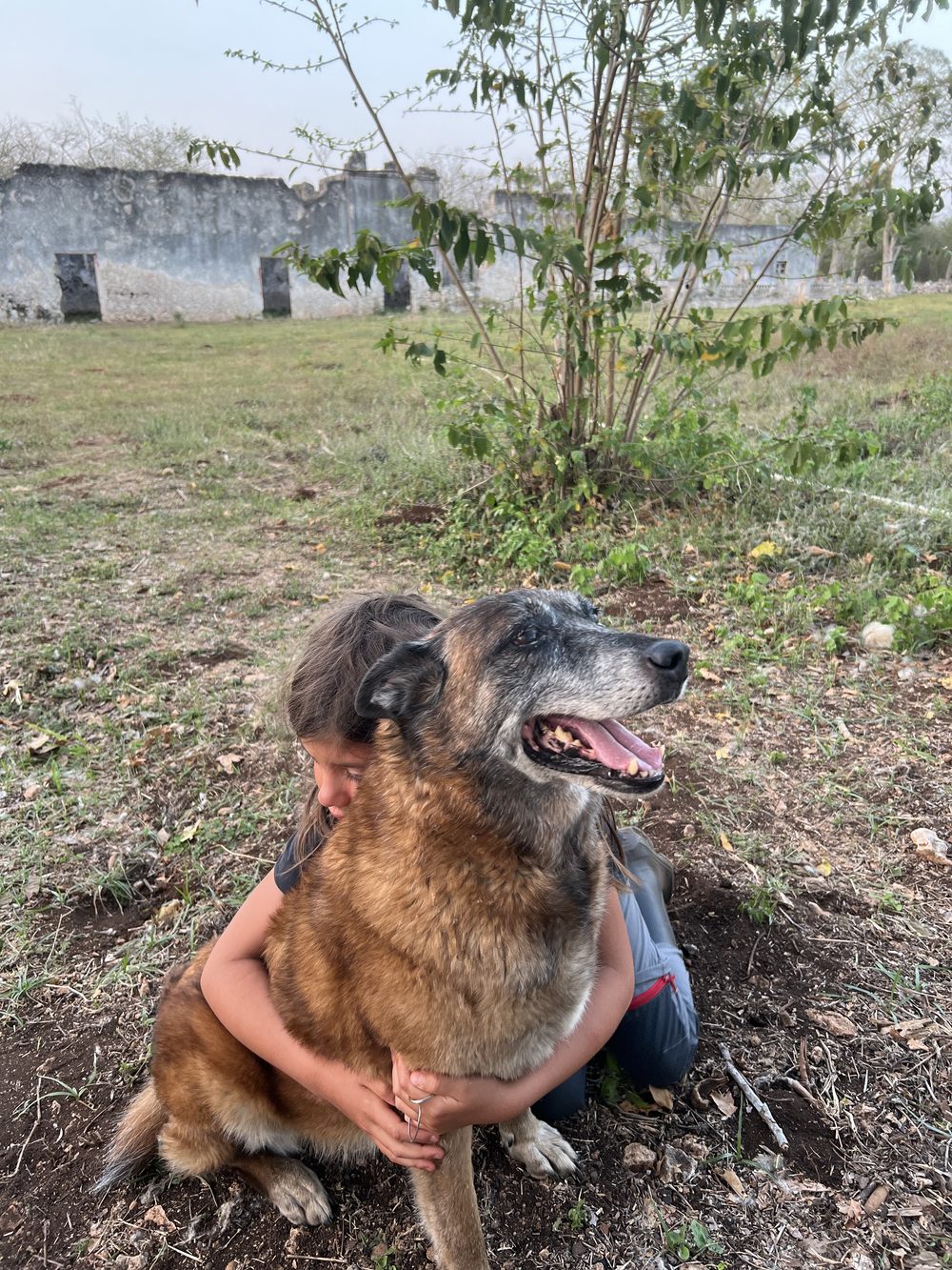 Belia, la mascota que inspiró nuestro árbol memorial y santuario