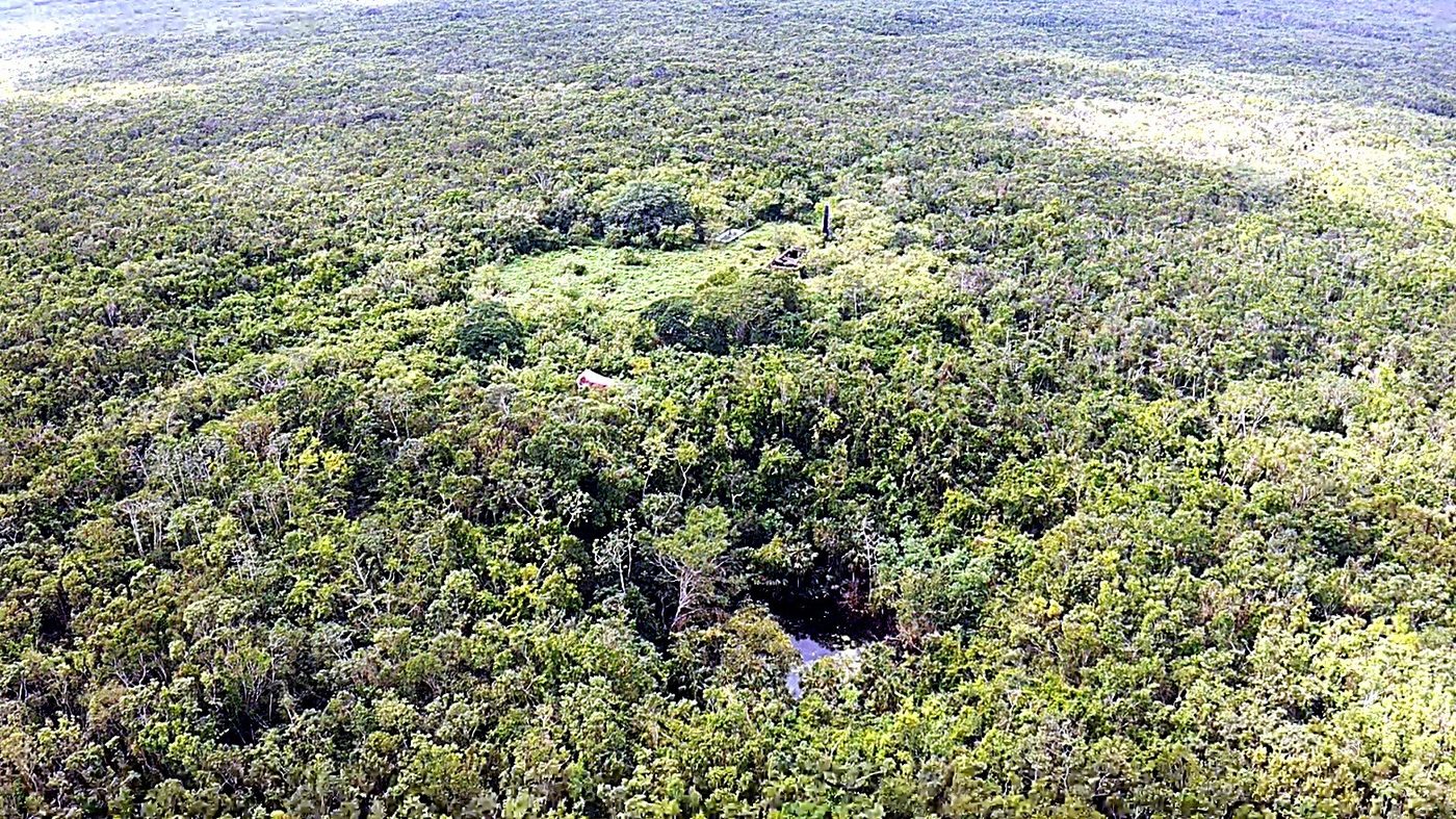 Vista aérea del bosque memorial para mascotas en San Isidro, Yucatán